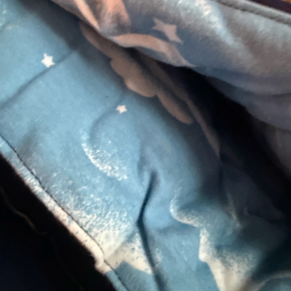Garnet Hill Teen Cloud gh2689 sleeping bag - Picture 2 of 5